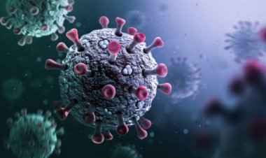 A scend in H3N2 and Coronavirus cases: What distinguishes these two respiratory viruses?