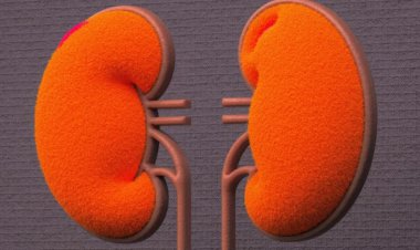 National Kidney Month: recognizing the early states of kidney disease