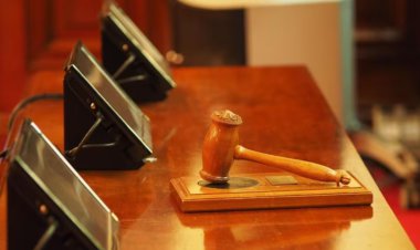 Punjab and Haryana HC asks ChatGPT about bail when assault is laced with cruelty. Here's what it said