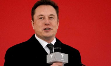 Experts in technology and Elon Musk call for a six-month hold on AI systems because they pose a threat to society.