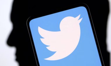 Twitter introduces Verified Organizations worldwide and will provide free blue ticks to the 10,000 companies with the most followers.