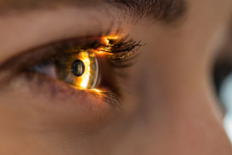 When you go outside in the sun, take care of your eyes.