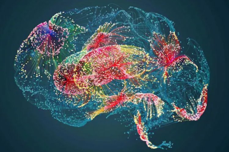 Strange activity found in the brains of people who are dying