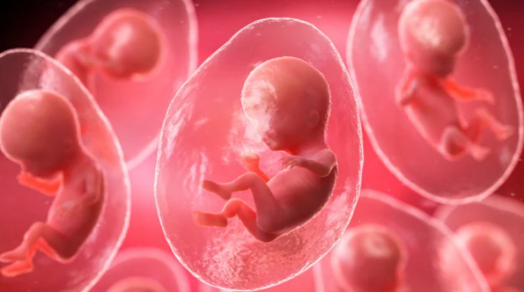 What is the treatment for mitochondrial donation? The one-of-a-kind method for curing fatal diseases in the womb