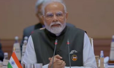 In the G20 New Delhi Declaration, PM Modi's touch and the 4 Ps