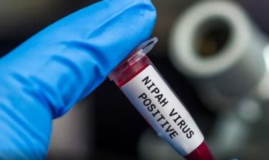 Outbreaks, Symptoms, and Everything Else You Need to Know About the Nipah Virus in Kerala
