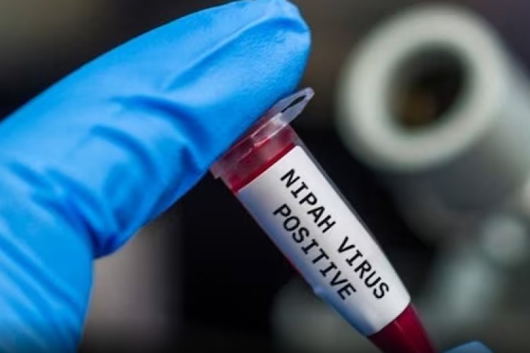 Outbreaks, Symptoms, and Everything Else You Need to Know About the Nipah Virus in Kerala