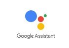 How to change Google Assistant Language