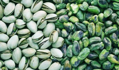 Pistachio Benefits: Pistachio a panacea for eyesight and diabetes control