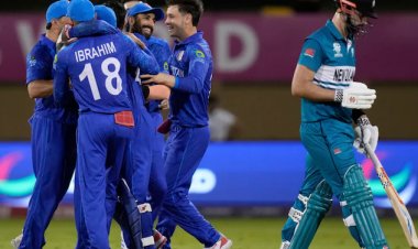 Afghanistan beat New Zealand, with stars like Rashid, Farooqi, and Gurbaz.