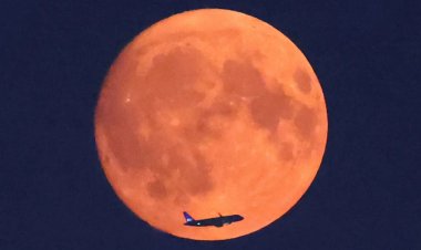 Blue moon august 19, supermoon shines red