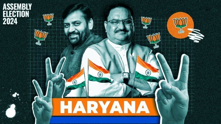 Haryana Election Results 2024: Complete List of Winners by Constituency