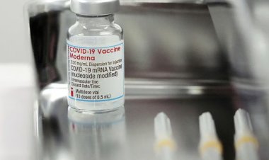 Is the spread of COVID-19 decreasing? Scientists say no