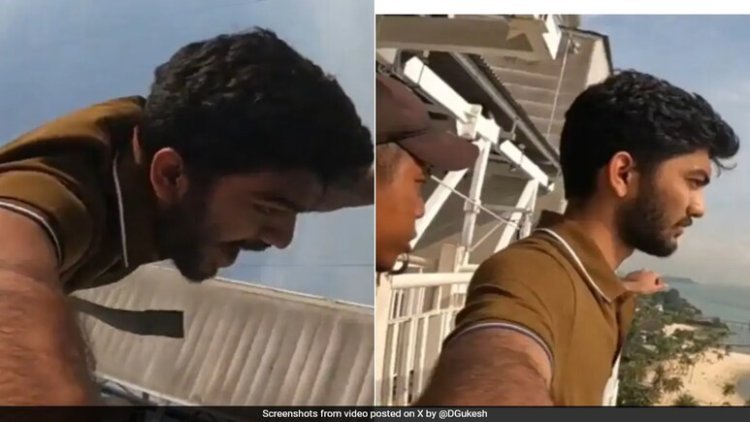 Watch: D Gukesh Jumps Bungee To Celebrate World Chess Championship Win.